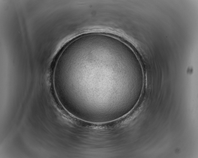 X0000100311501200806121028