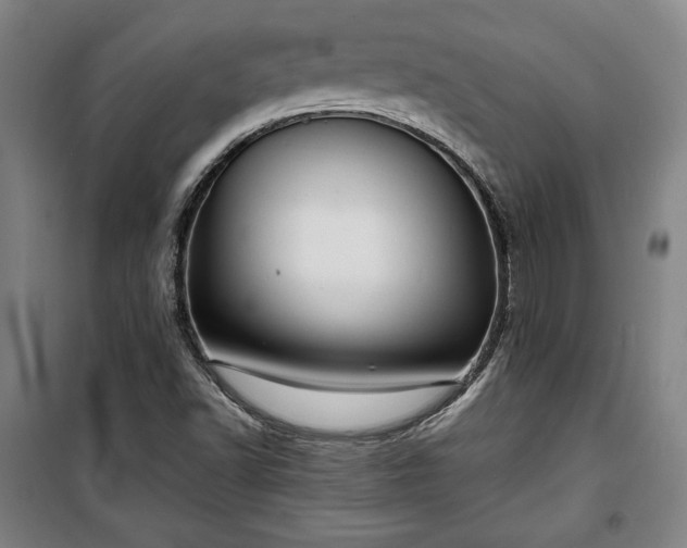 X0000100311502200806121028