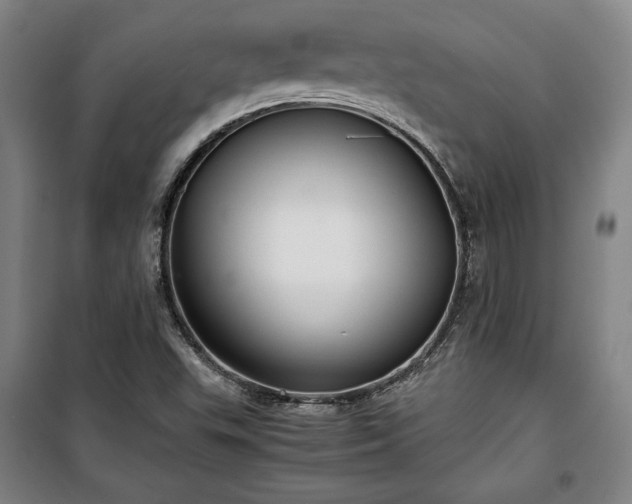 X0000100311503200806121028