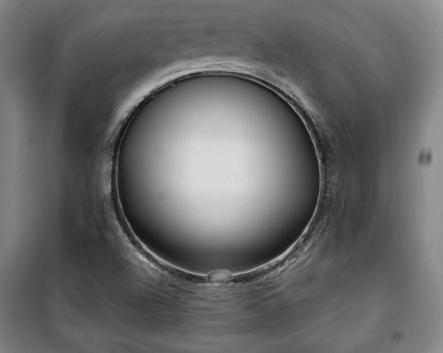 X0000100311504200806121028