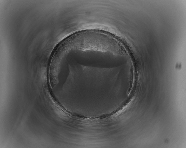X0000100311505200806121028