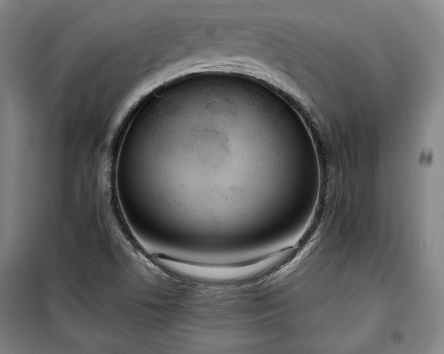 X0000100311506200806121028