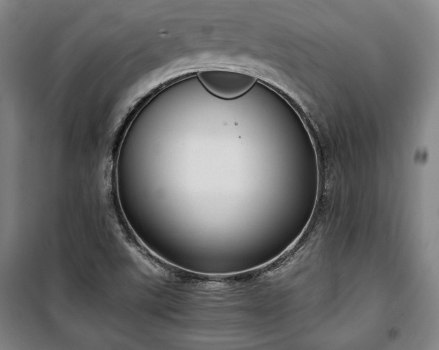 X0000100311507200806121028