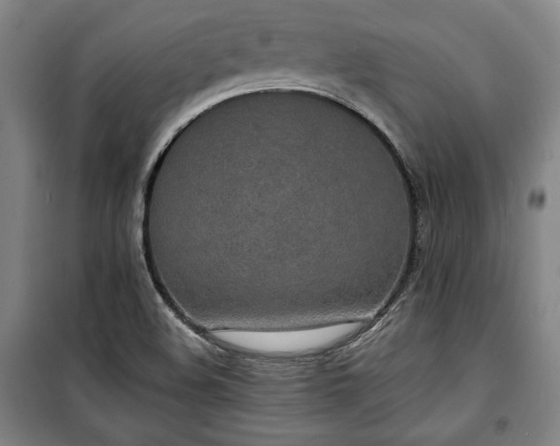 X0000100311508200806121028