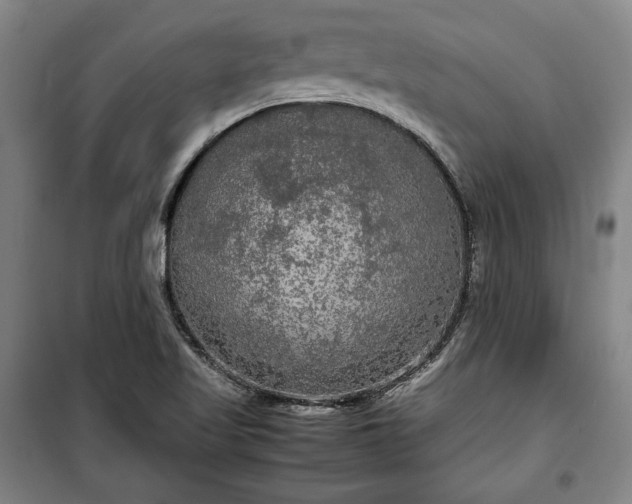 X0000100311509200806121028