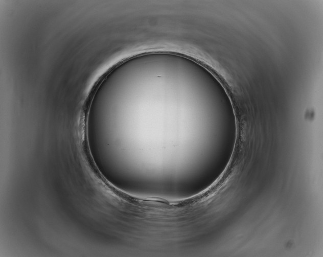X0000100311510200806121028