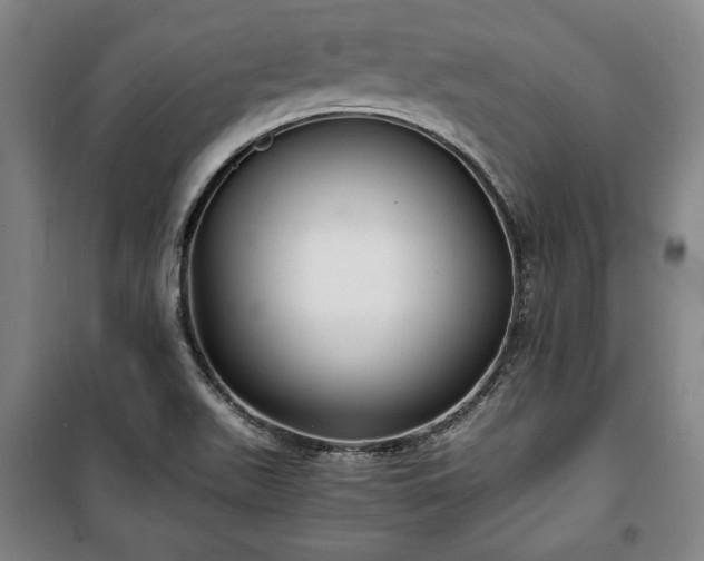X0000100311511200806121028