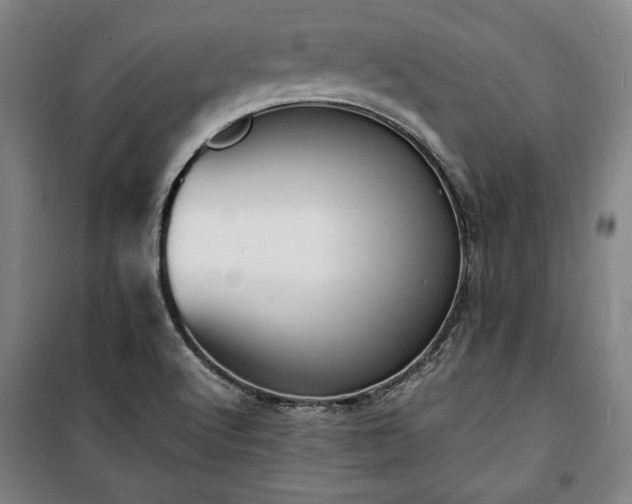 X0000100311512200806121028
