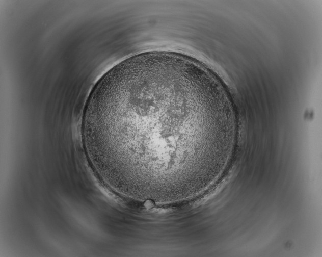 X0000100311513200806121028