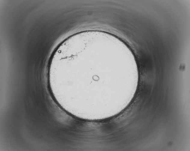 X0000100311514200806121028