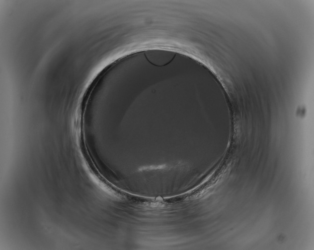 X0000100311515200806121028