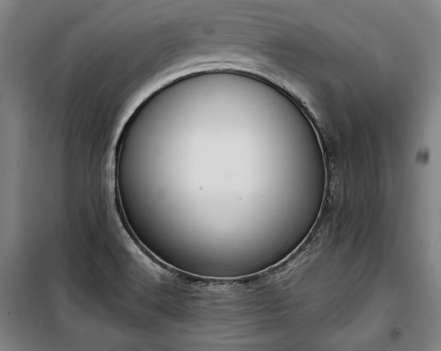 X0000100311516200806121028