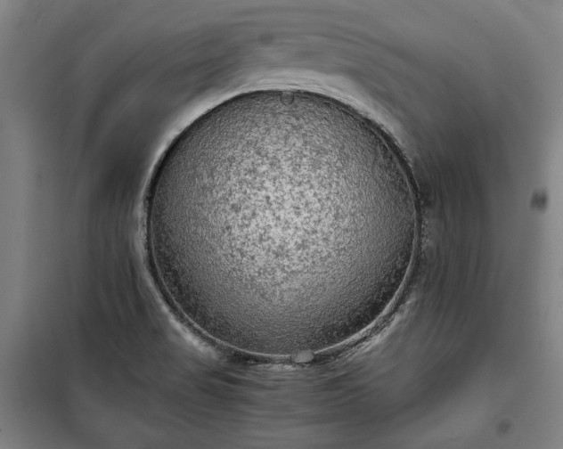 X0000100311517200806121028