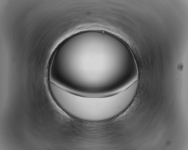 X0000100311518200806121028