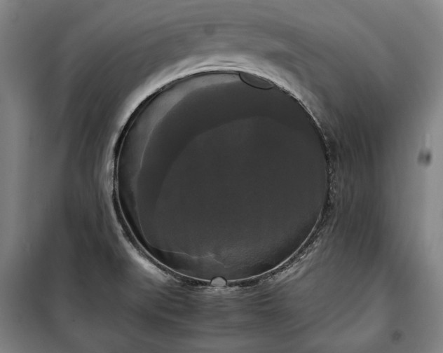 X0000100311519200806121028