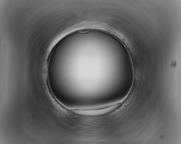 X0000100311520200806121028