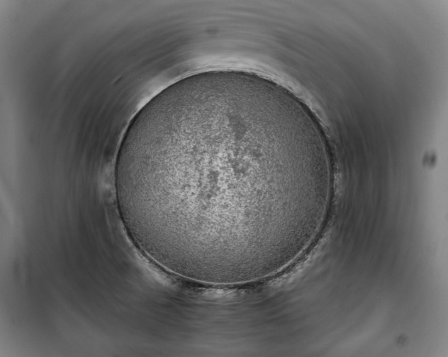 X0000100311521200806121028