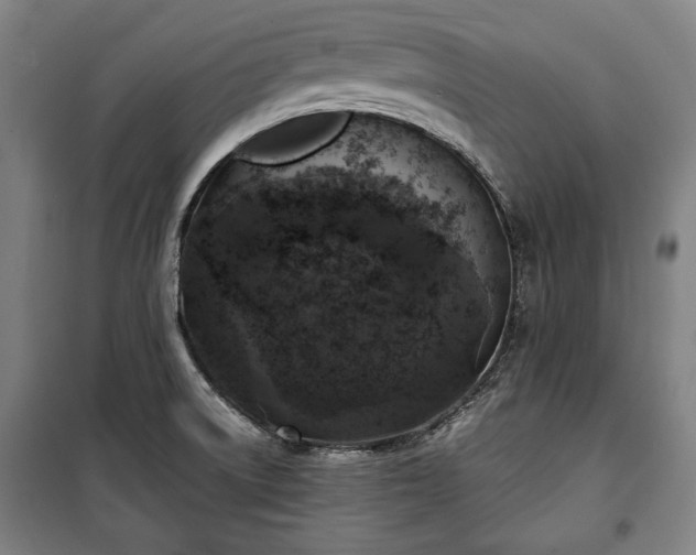 X0000100311522200806121028