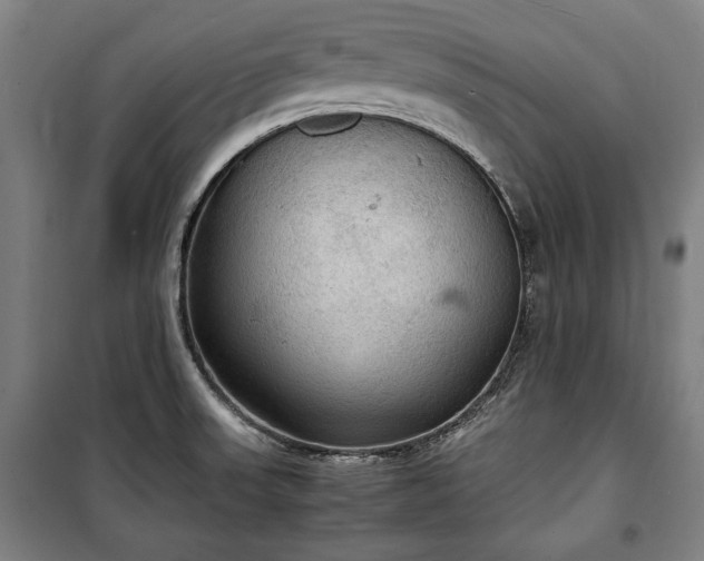 X0000100311523200806121028