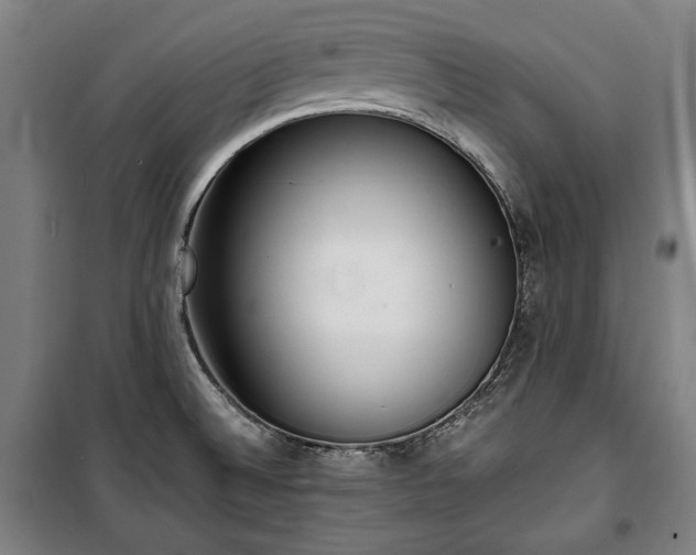 X0000100311524200806121028
