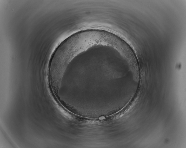X0000100311525200806121028