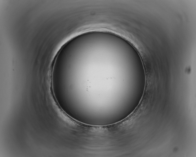 X0000100311526200806121028