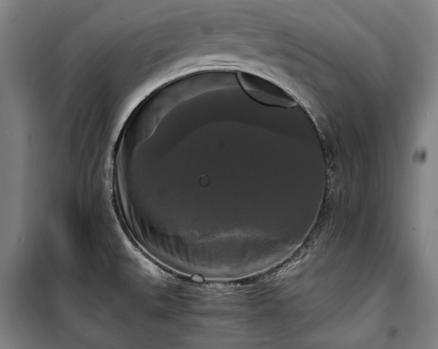 X0000100311527200806121028