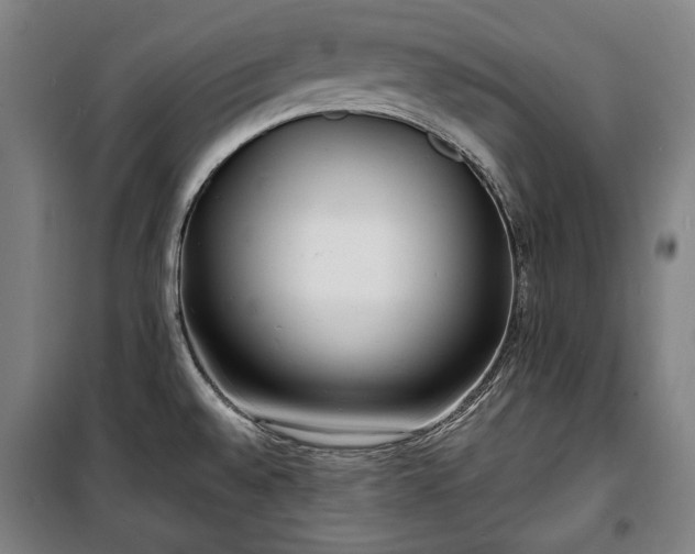 X0000100311528200806121028