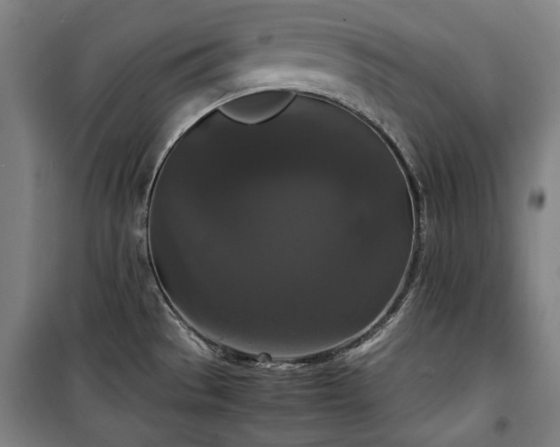 X0000100311529200806121028