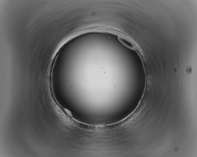 X0000100311530200806121028