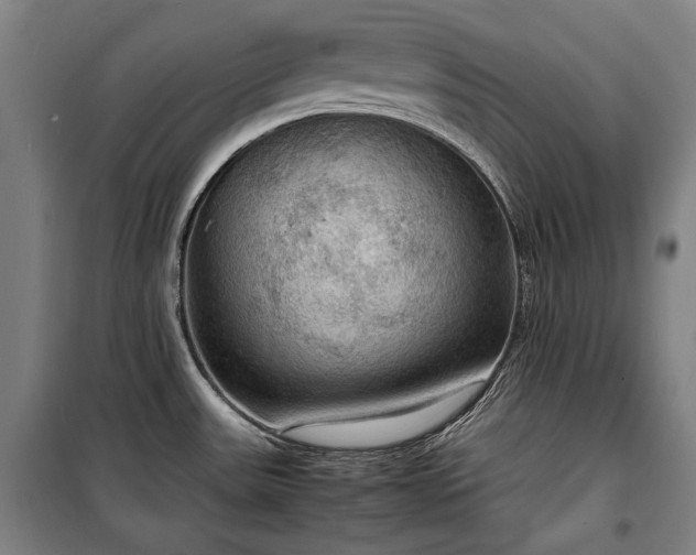 X0000100311531200806121028