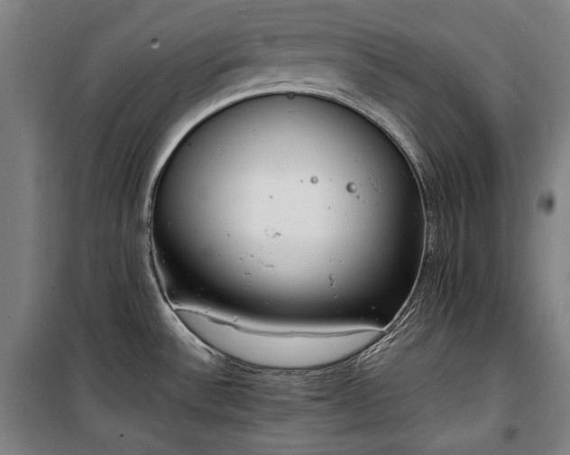 X0000100311532200806121028
