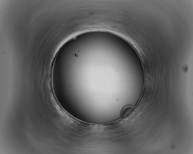 X0000100311534200806121029