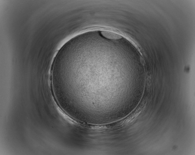 X0000100311535200806121029
