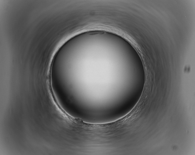 X0000100311536200806121029