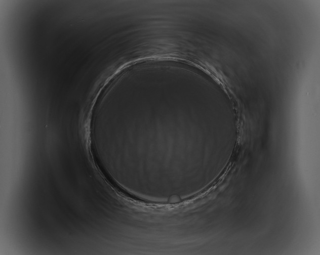 X0000100310002200806190952