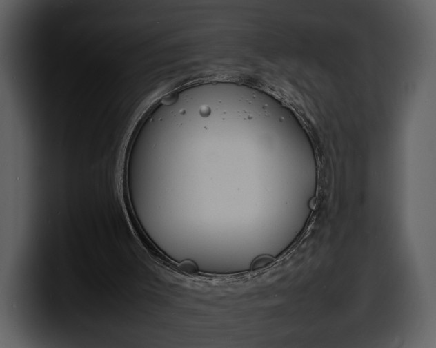 X0000100310003200806190952