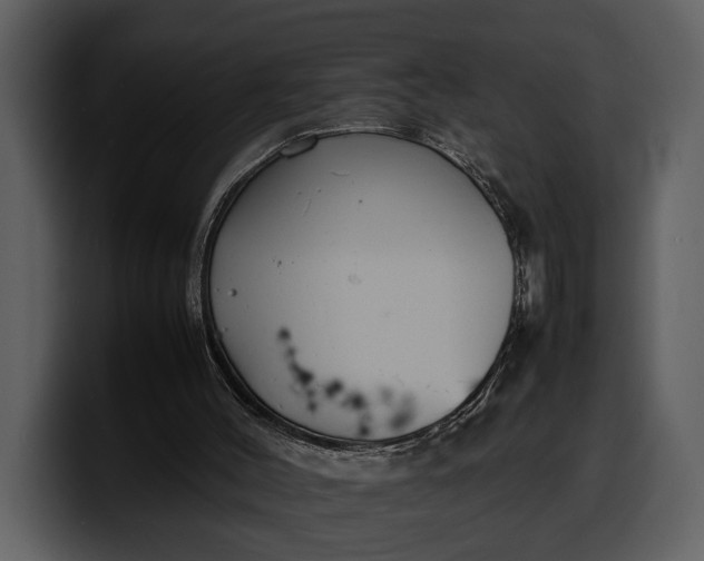 X0000100310004200806190952