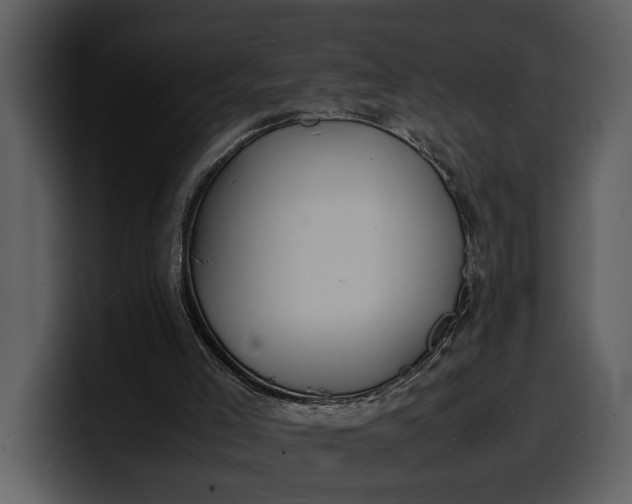 X0000100310005200806190952