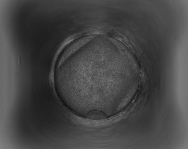 X0000100310006200806190952