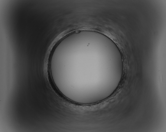 X0000100310007200806190952