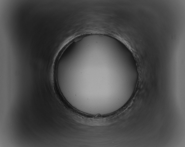 X0000100310008200806190952