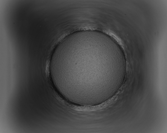 X0000100310009200806190952