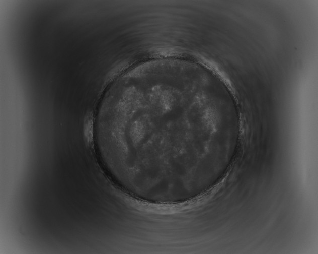 X0000100310010200806190952