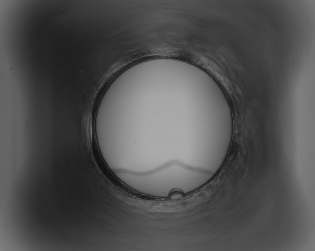 X0000100310011200806190952