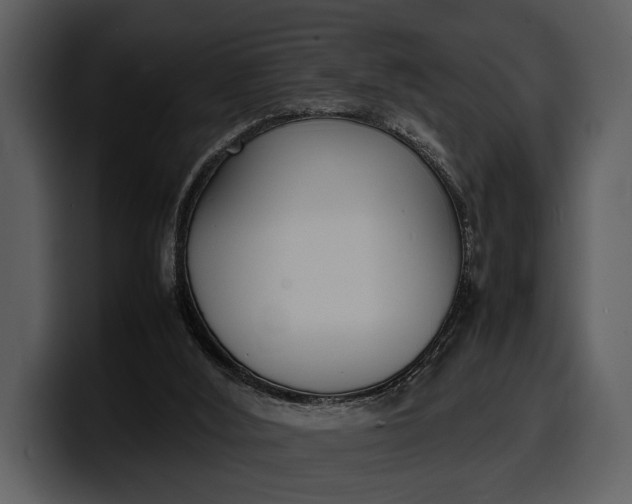 X0000100310012200806190952