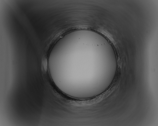 X0000100310013200806190952