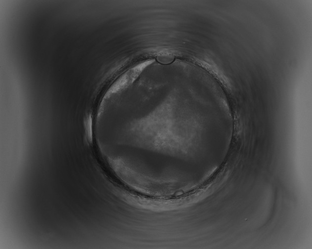 X0000100310014200806190952