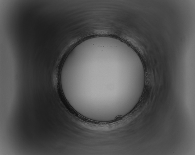 X0000100310015200806190952