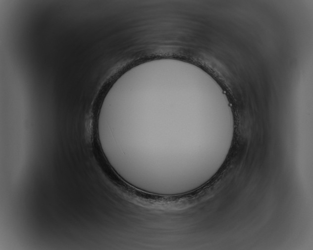 X0000100310016200806190952